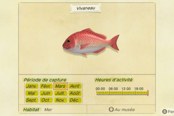 Astuces pour optimiser vos sessions de pêche