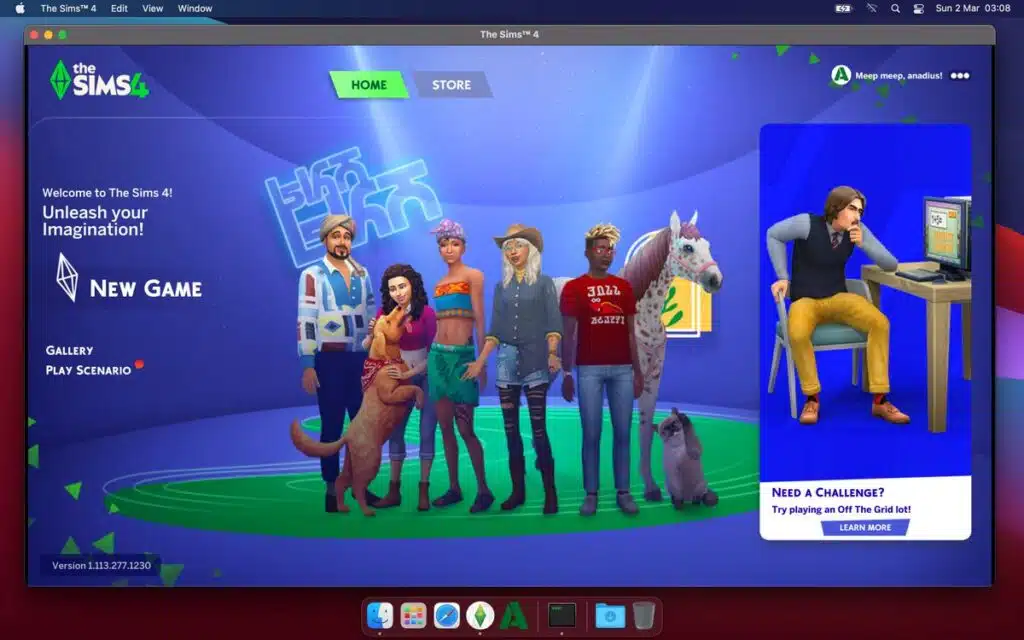 anadius sims 4​