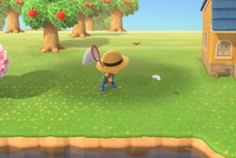 insecte animal crossing​